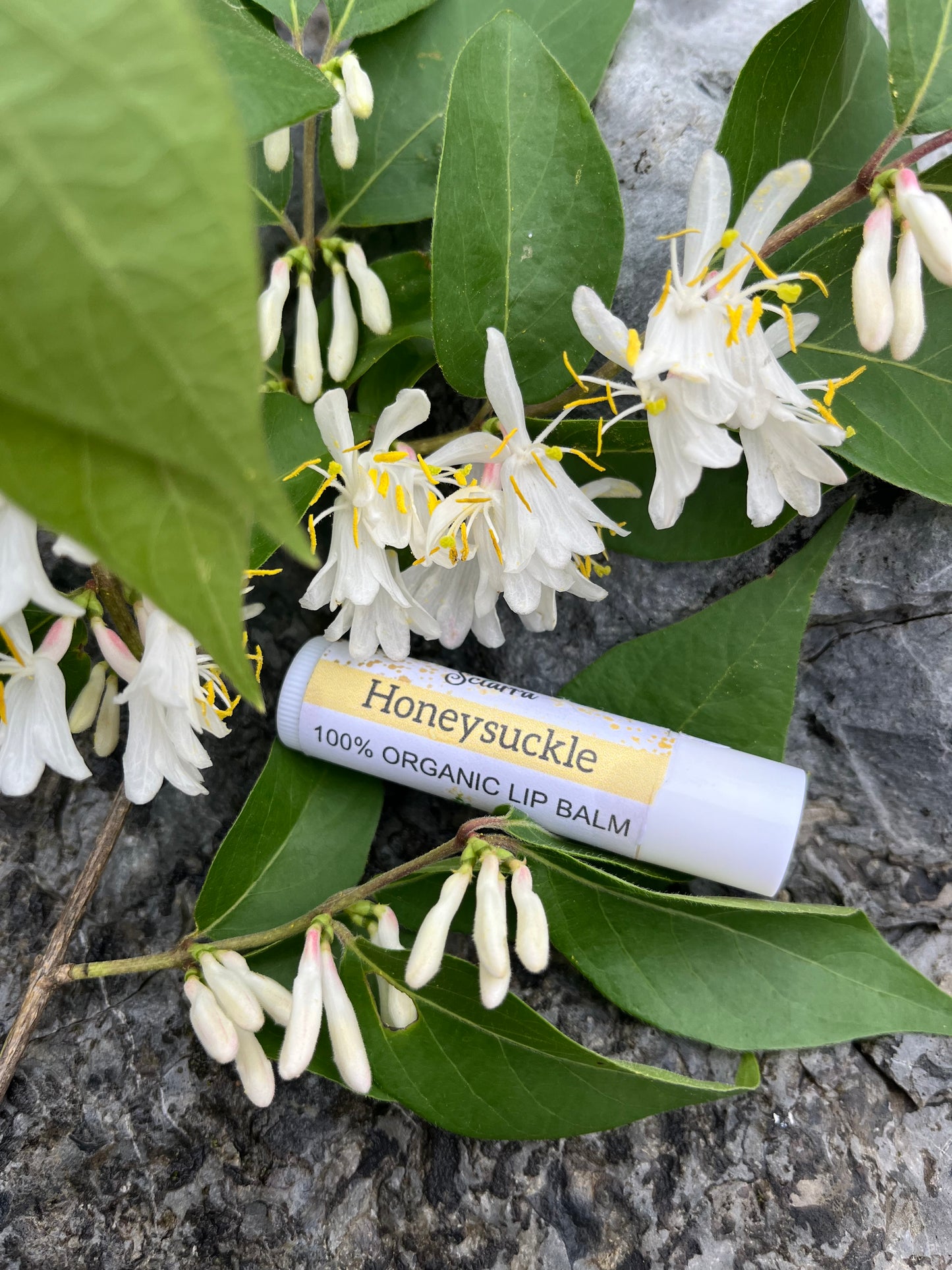 Honeysuckle Meadows Organic Lip Balm