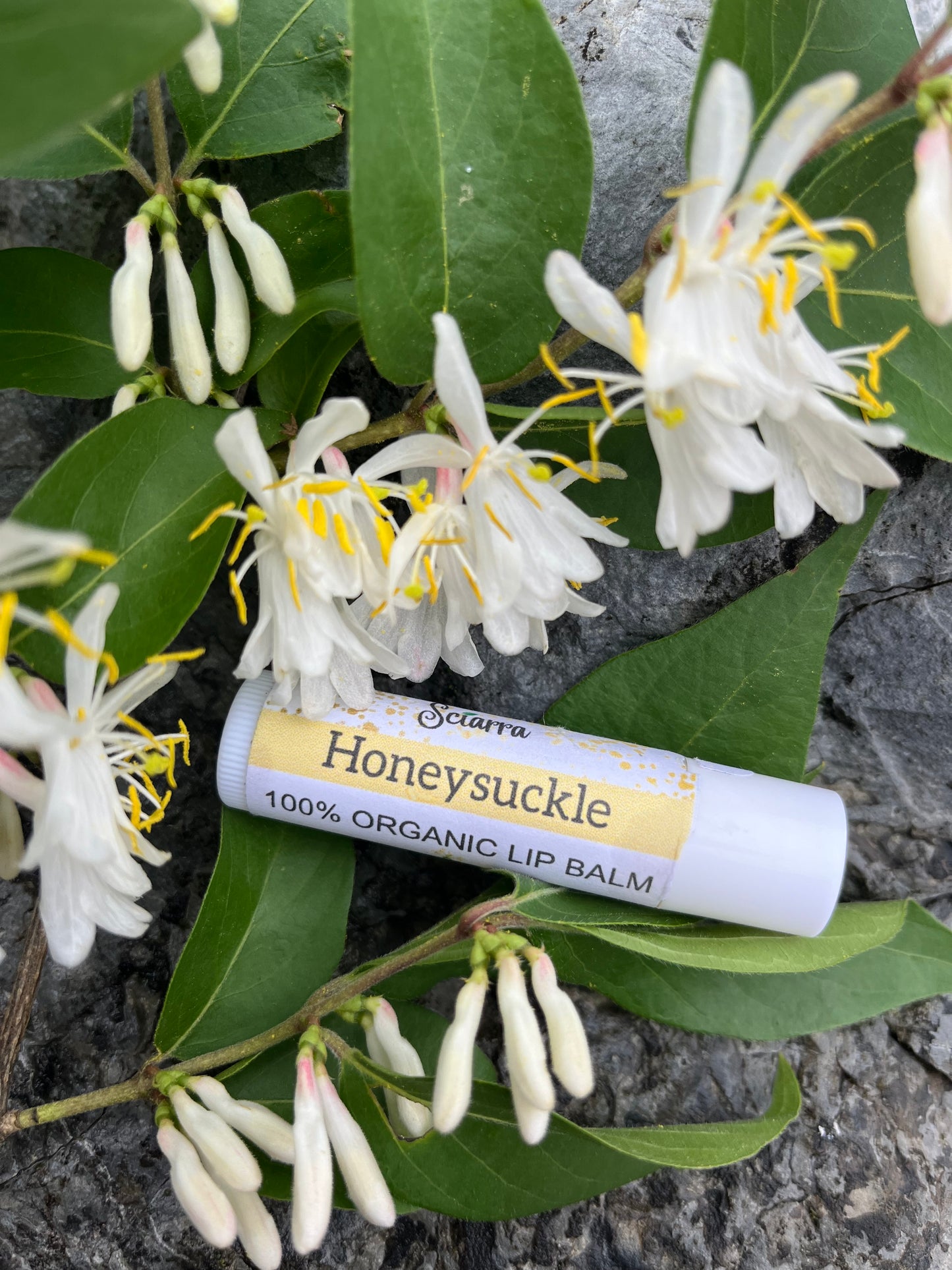 Honeysuckle Meadows Organic Lip Balm