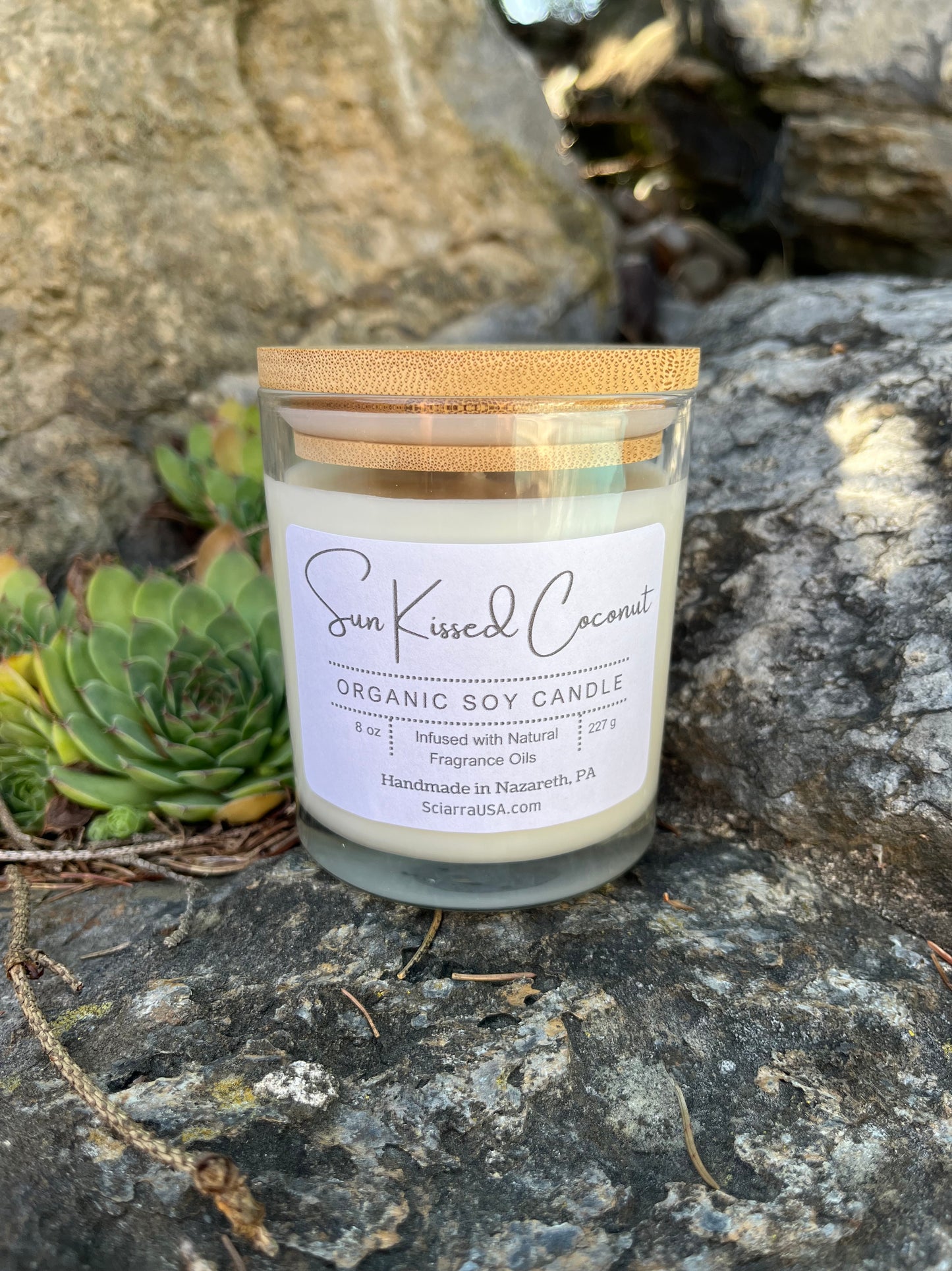 Sunkissed Coconut Soy Candle 8oz