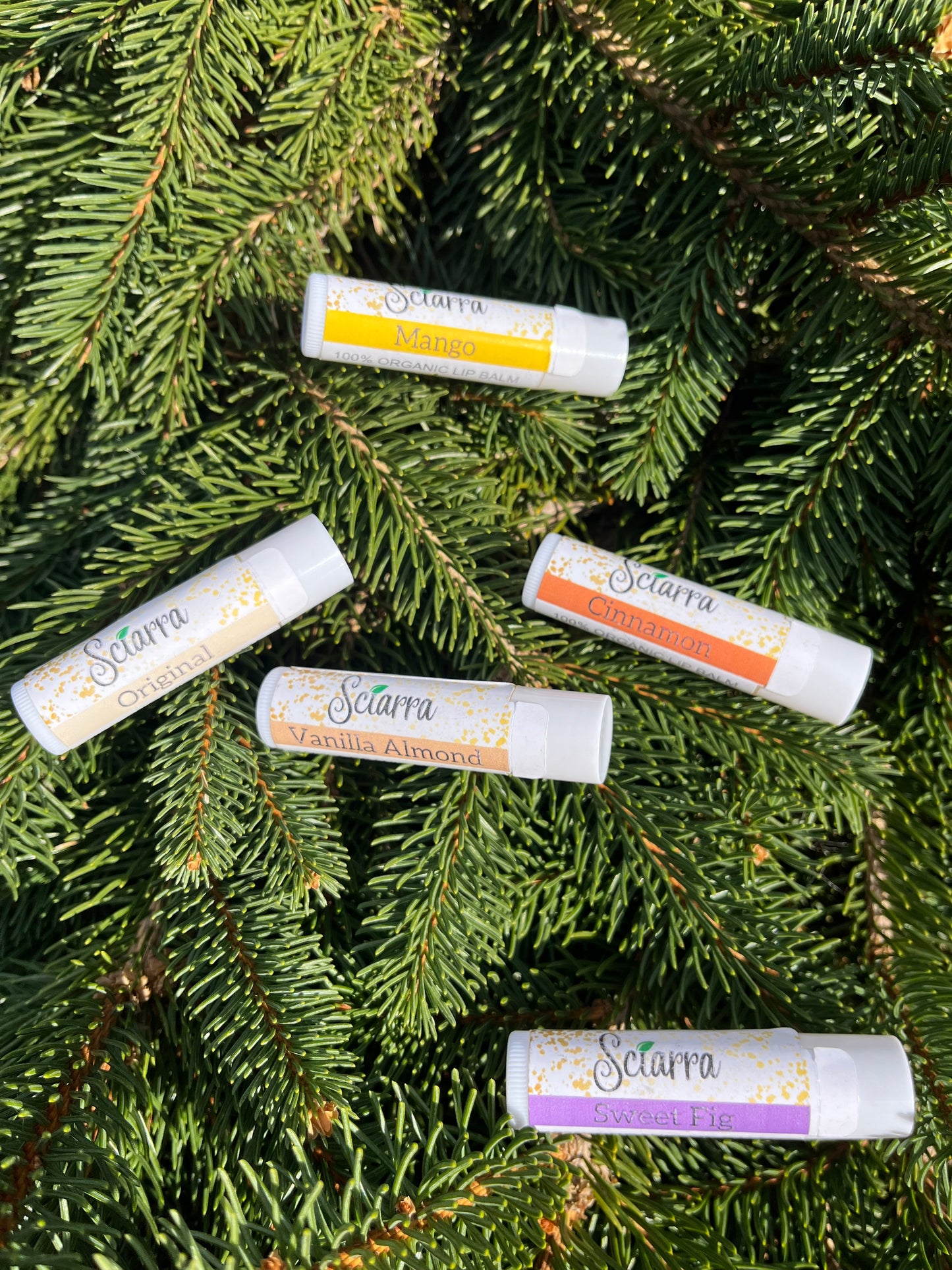 Organic Lip Balms Variety Pack- Original, Mango, Sweet Fig, Cinnamon and Vanilla Almond-5 count