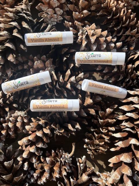 Vanilla Almond Organic Lip Balm Bundle-5 pack