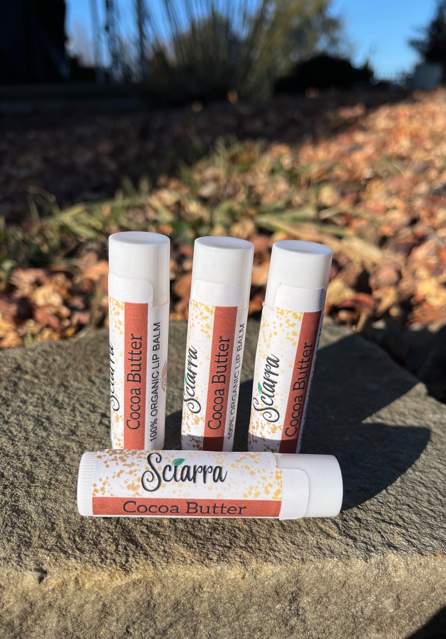 Cocoa Butter Organic Lip Balm