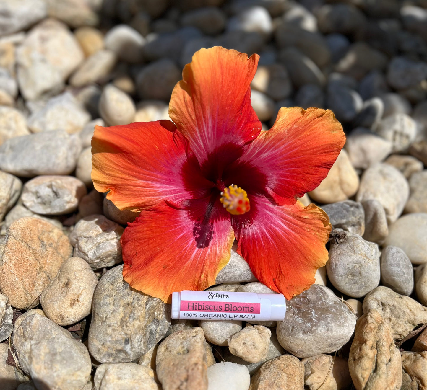 Hibiscus Organic Lip Balm