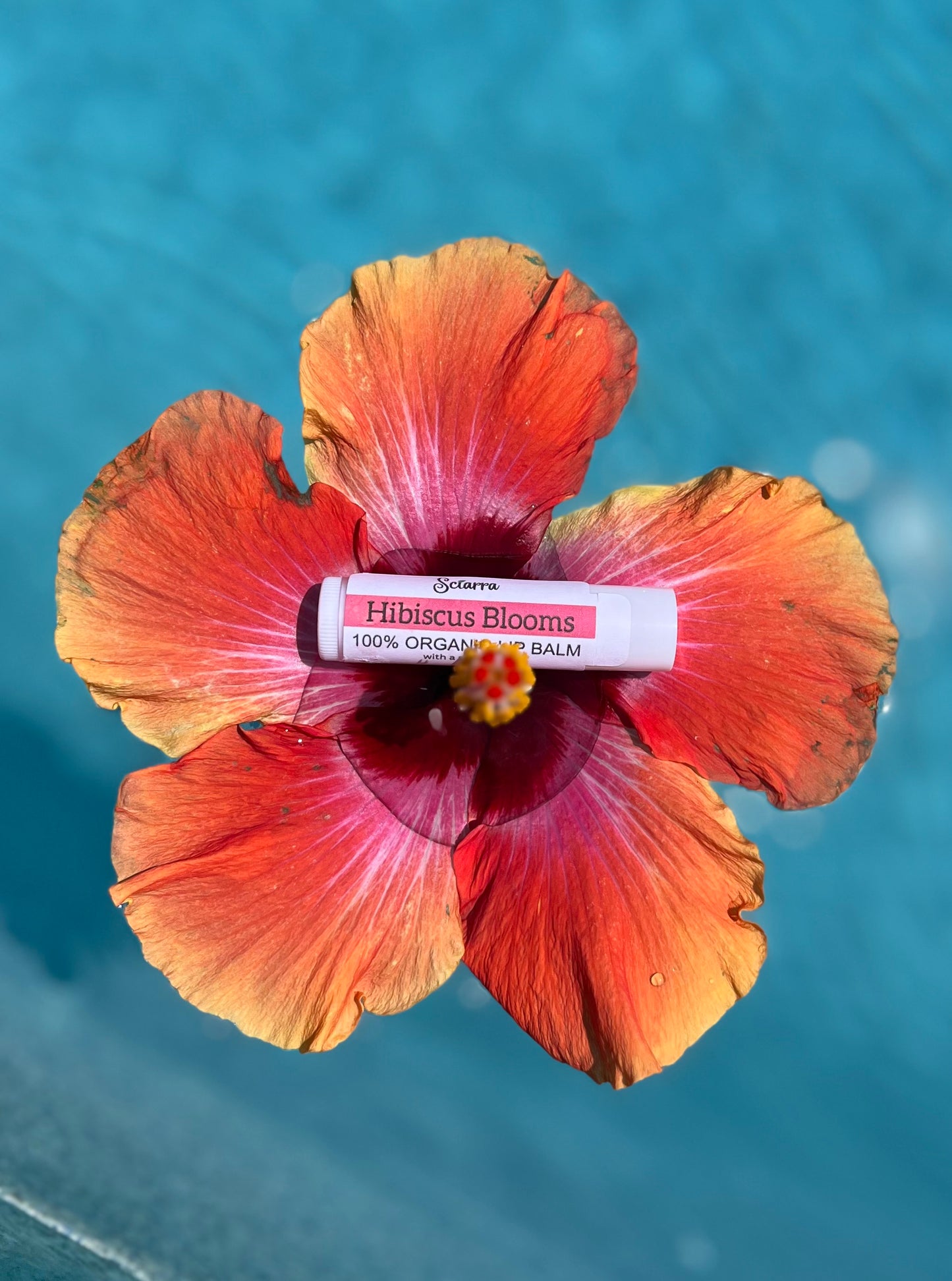 Hibiscus Organic Lip Balm